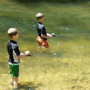 LM_stream fishing