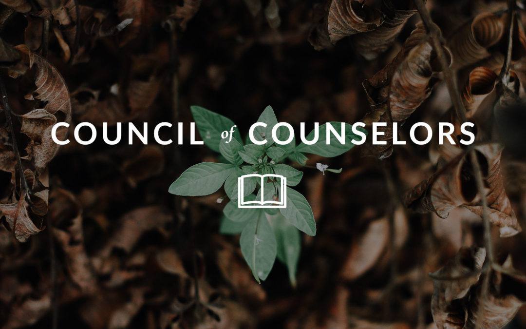 Council of Counselors: Encouraging Our Sisters / Mental Health Ministry / Kids Saying “I’m Bored” / Good God in Hard Times / Disability Lessons