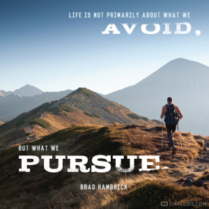pursue_avoid