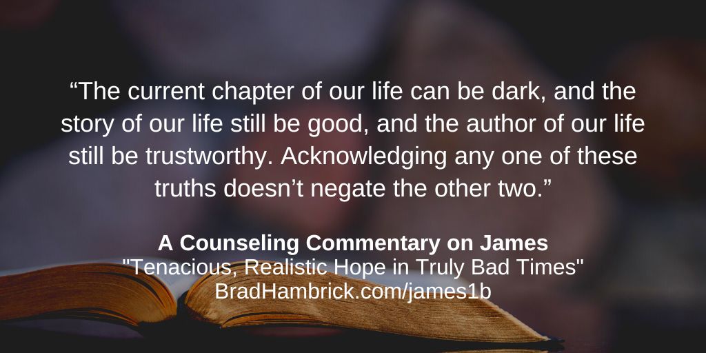 A Counseling Commentary on James: Tenacious, Realistic Hope in Truly Bad Times
