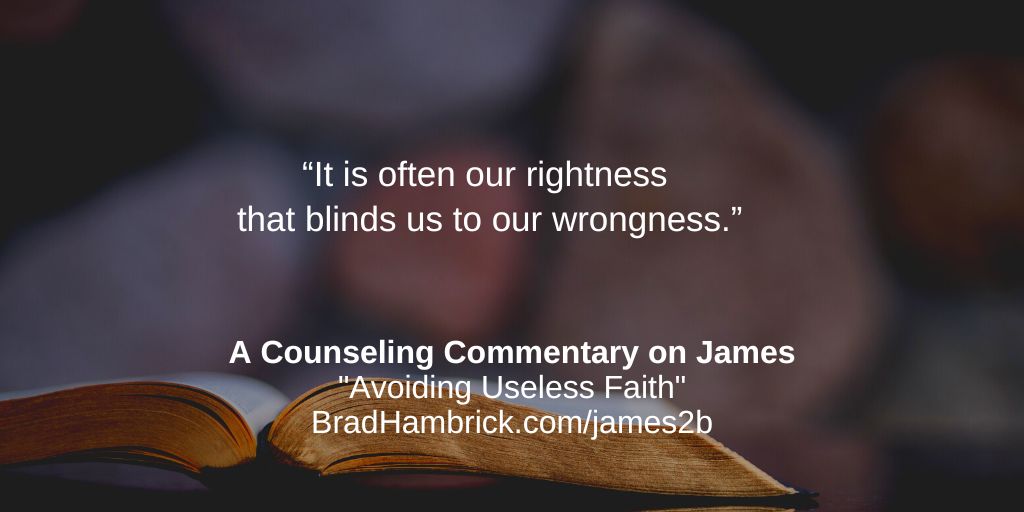A Counseling Commentary on James: Avoiding Useless Faith