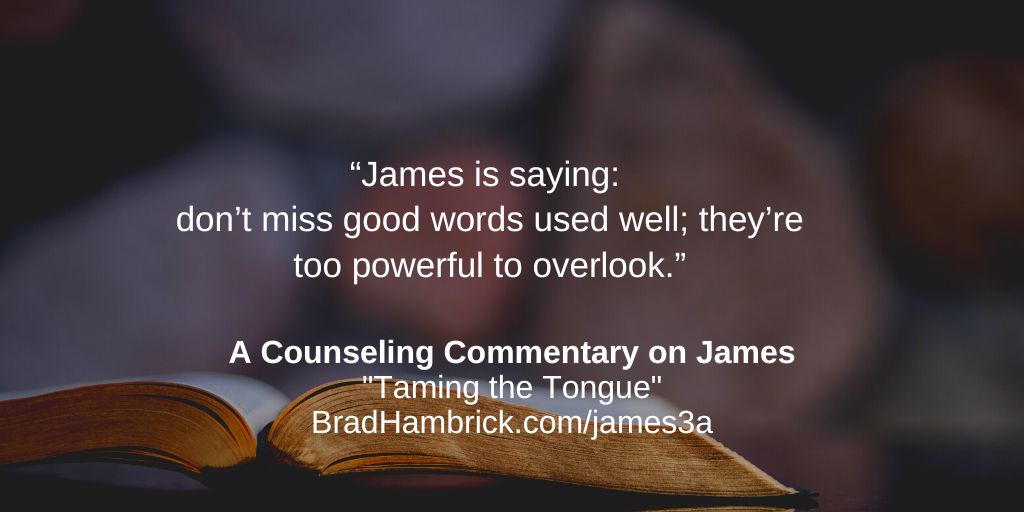 A Counseling Commentary on James: Taming the Tongue