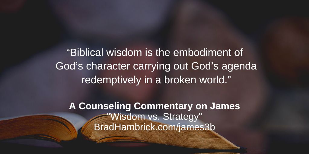 A Counseling Commentary on James: Wisdom vs. Strategy